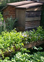 handmade shed at Aden Terrace